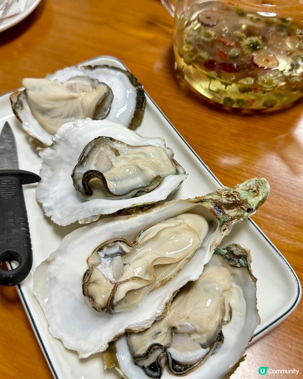 一鴿勝九雞👉🏻👉🏻👉🏻福苓鴿王