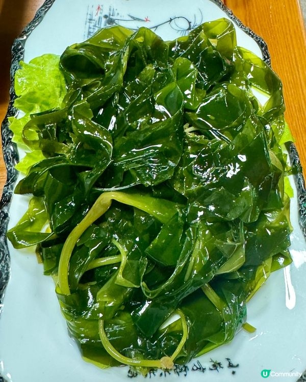 一鴿勝九雞👉🏻👉🏻👉🏻福苓鴿王