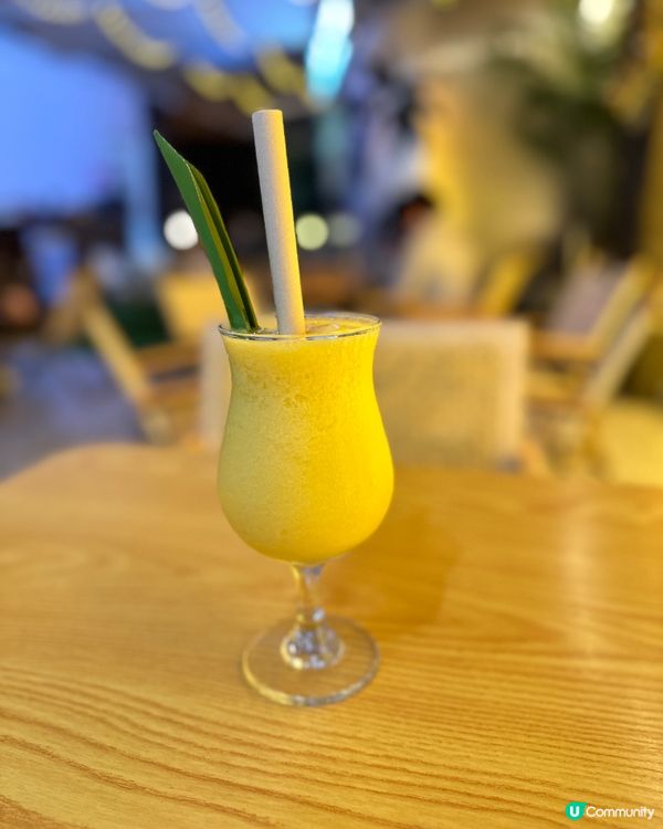 ⛺️ 又Chill 又有特色Camping Cafe ⛺️