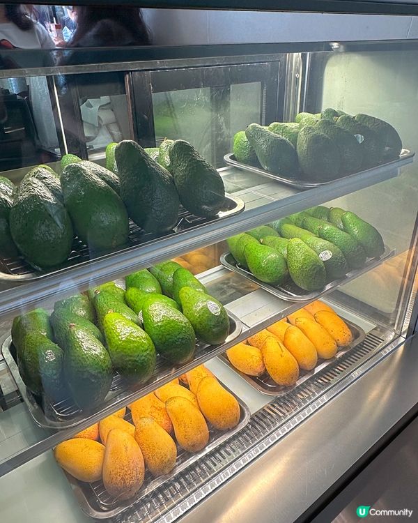 人氣茶飲店More Yogurt登陸銅鑼灣💚