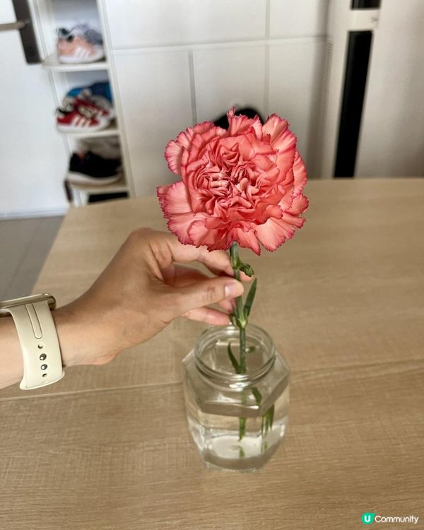 《康乃馨》開大朵咗！好靚啦！💐