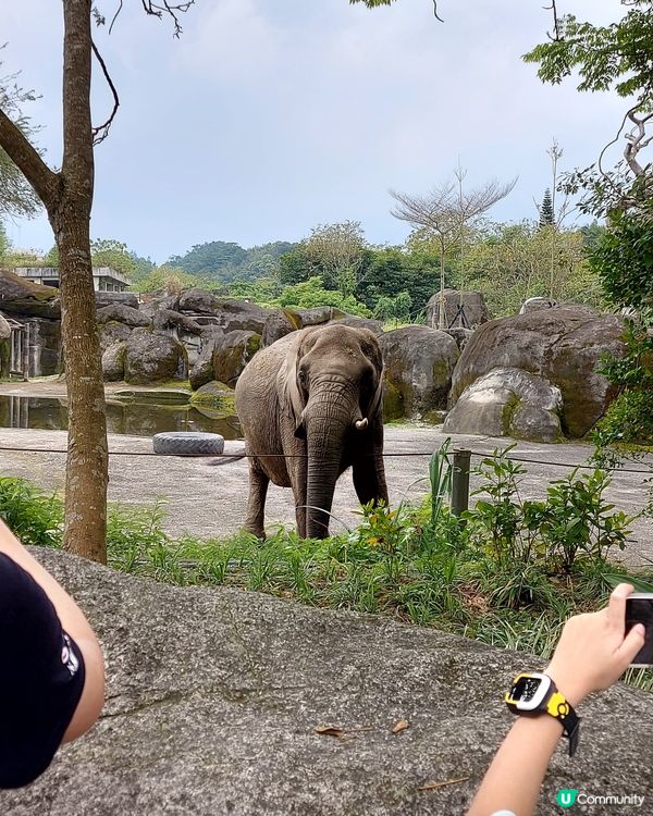 親子旅行，一定要去下動物園