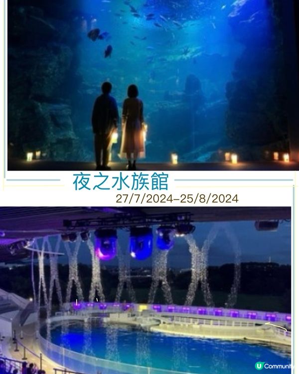 夜幕低垂下的《京都水族館》27/7-25/8