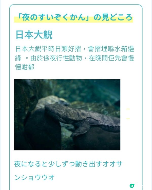 夜幕低垂下的《京都水族館》27/7-25/8