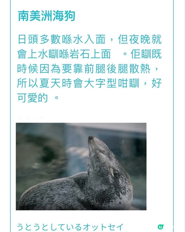 夜幕低垂下的《京都水族館》27/7-25/8