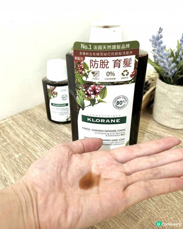 開始有脫髮問題點算好？