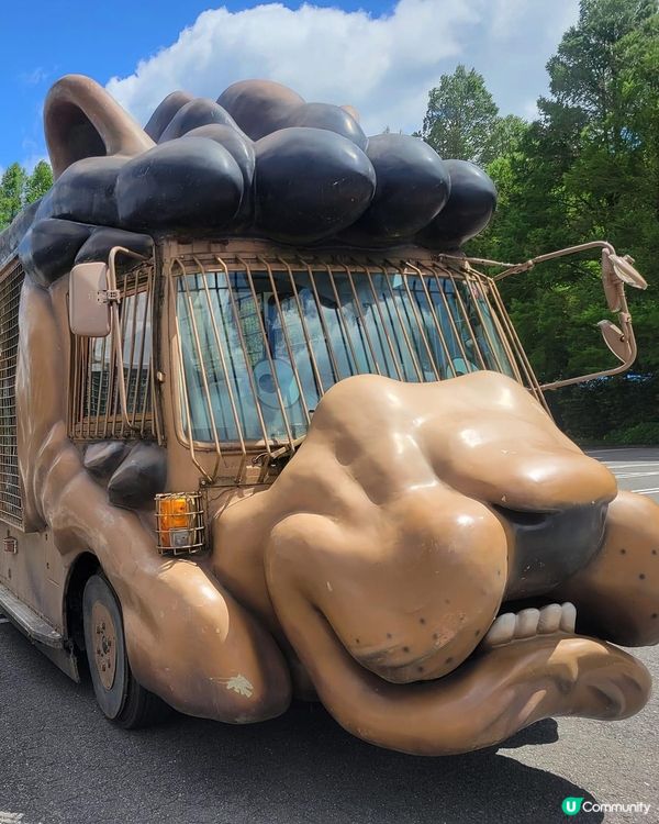 九州必去自然動物🦒園