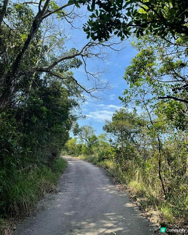 天朗氣清去行山