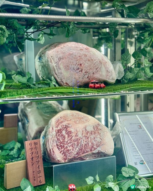 關東風壽喜燒日本和牛放題🇯🇵🐮 新開張送原隻活龍蝦刺身🦞