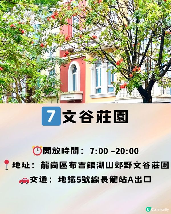 深圳9大彩色打卡熱點🌈全部免費入場‼️附地址＋交通教學