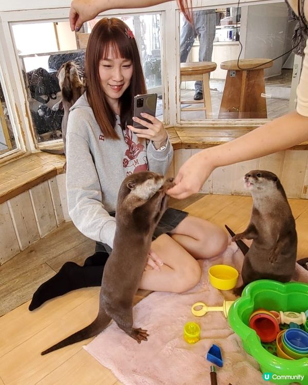 日本水瀨坐大脾之旅 