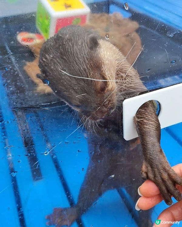 日本水瀨坐大脾之旅 