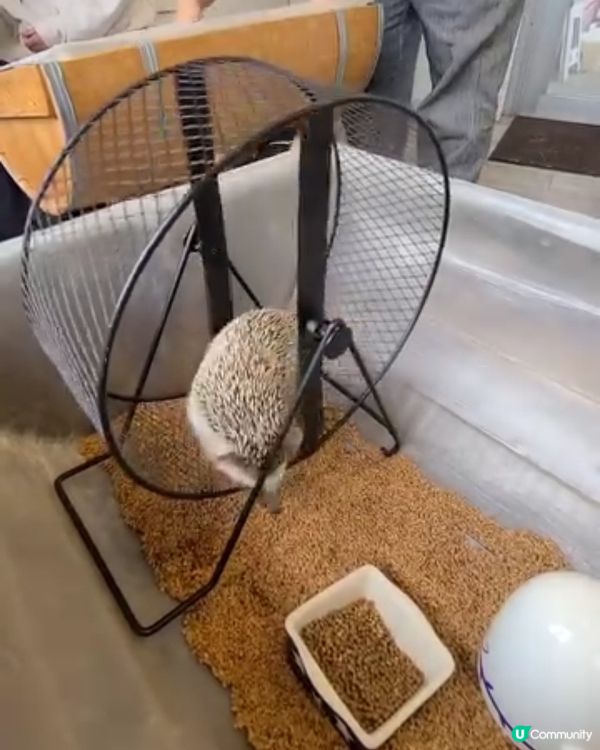 日本水瀨坐大脾之旅 