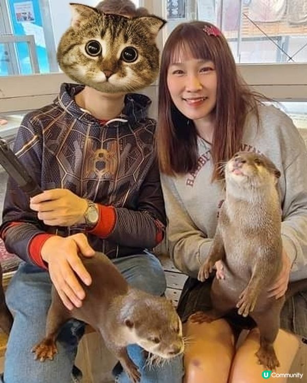 日本水瀨坐大脾之旅 