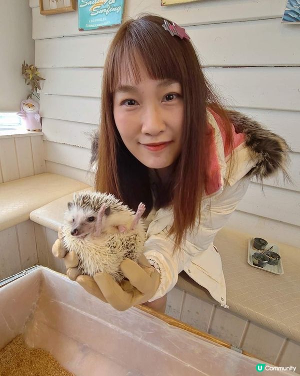 日本水瀨坐大脾之旅 