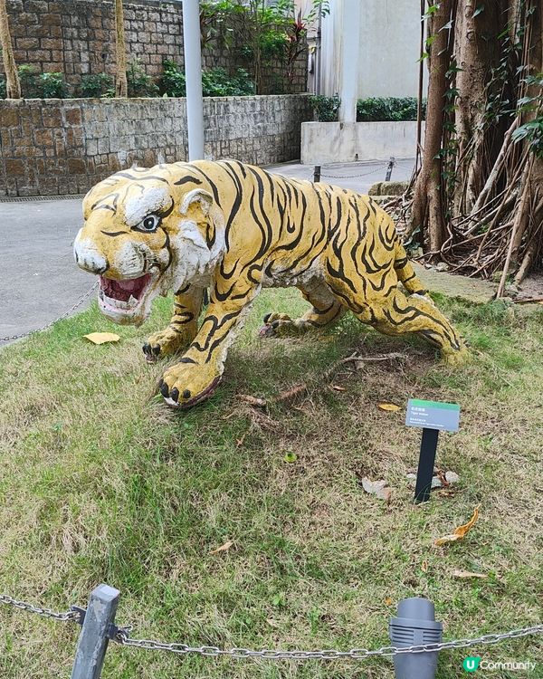 🐅虎豹別墅🐆