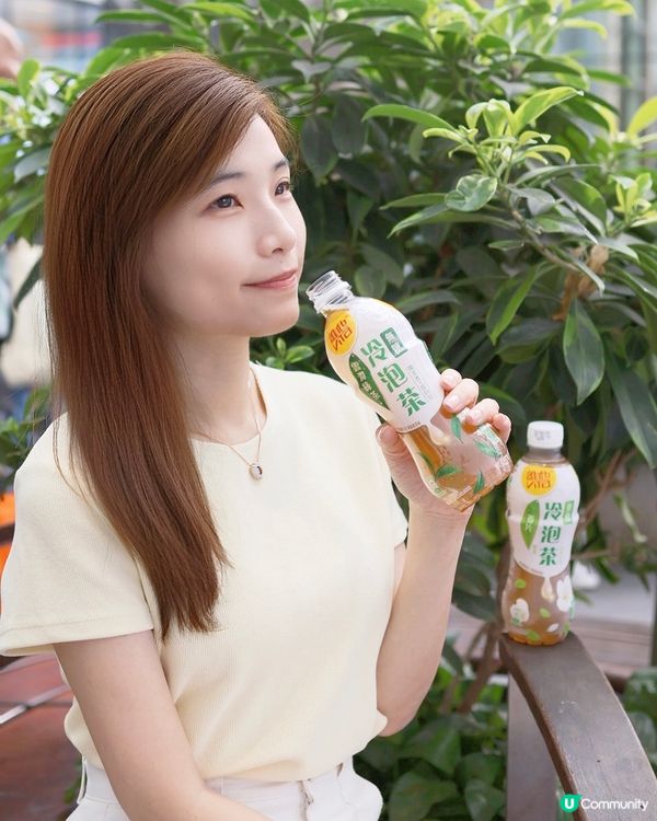 【有茶派】維他冷泡無糖茶-雲澗綠茶