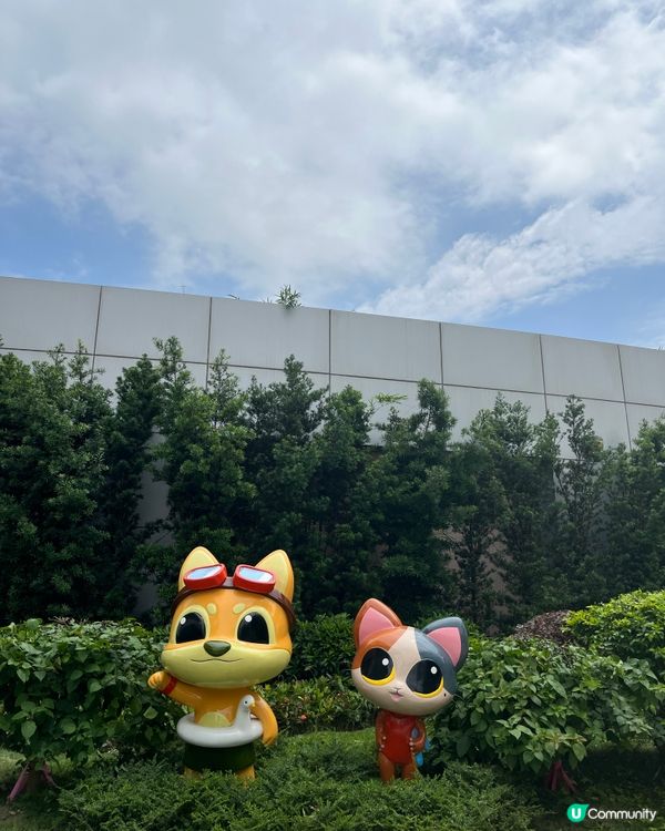 天水圍體育館 #好去處#chill