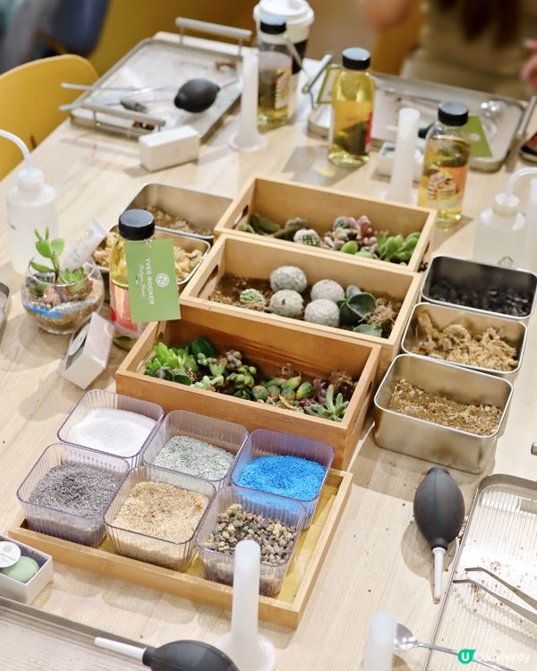 🎉法國 No.1 YVES ROCHER 65 周年啦！