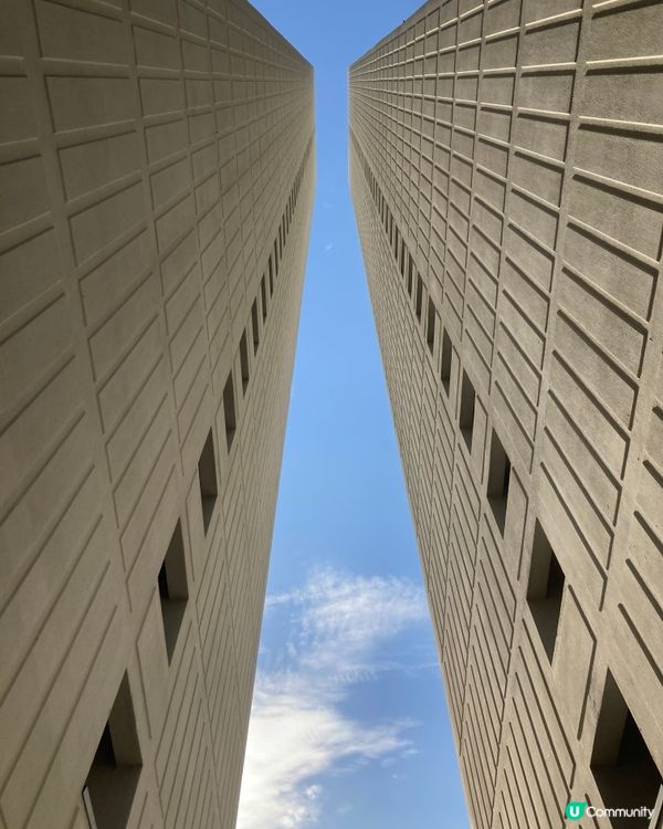 天水圍的日與夜