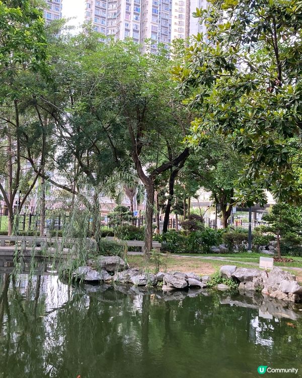 天水圍的日與夜