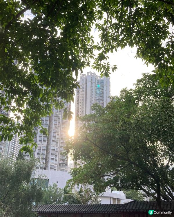 天水圍的日與夜