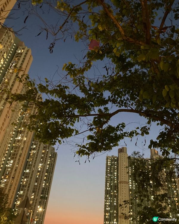 天水圍的日與夜