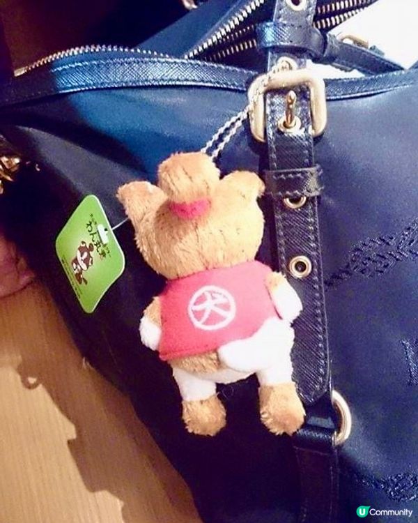 犬山城夏日☀️之旅：江戶時代古蹟與可愛犬山手信🐶🏰