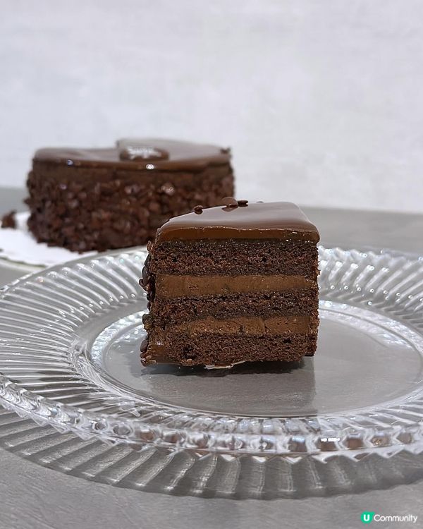 COVA 全新cake nano系列🍰