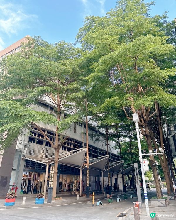 深圳新人氣打卡景點「海上世界」