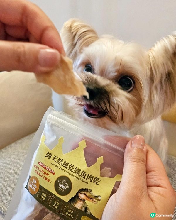 小BBO的天然零食🐊皇室貴寵凍乾鱷魚肉