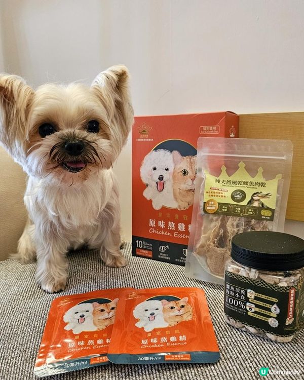 小BBO的天然零食🐊皇室貴寵凍乾鱷魚肉