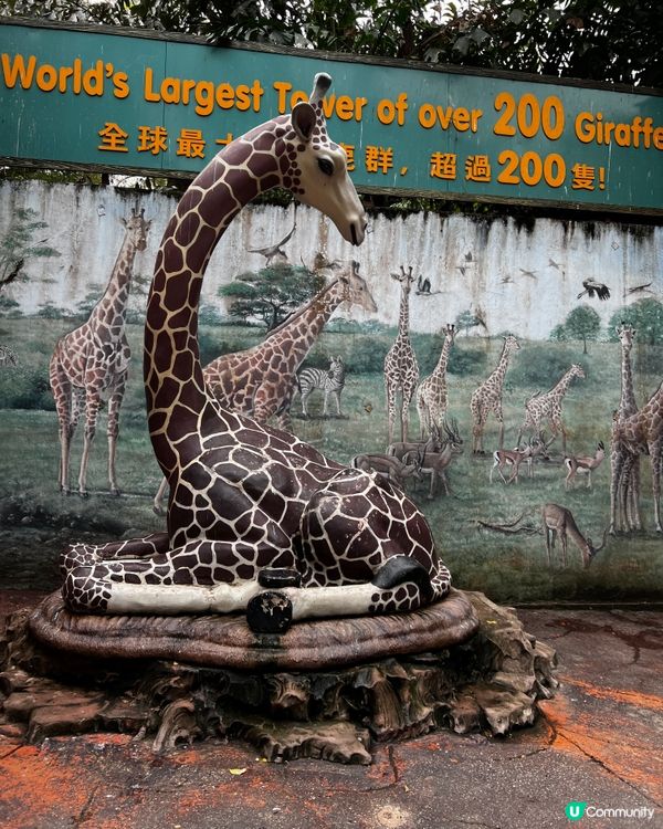 泰國曼谷賽佛瑞野生動物園 Safari World