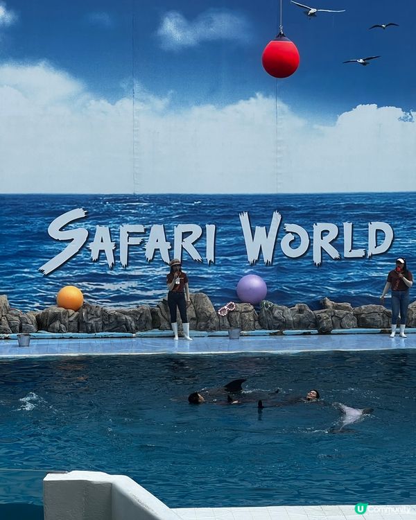 泰國曼谷賽佛瑞野生動物園 Safari World