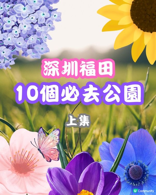 深圳福田10個必去公園-上集💐