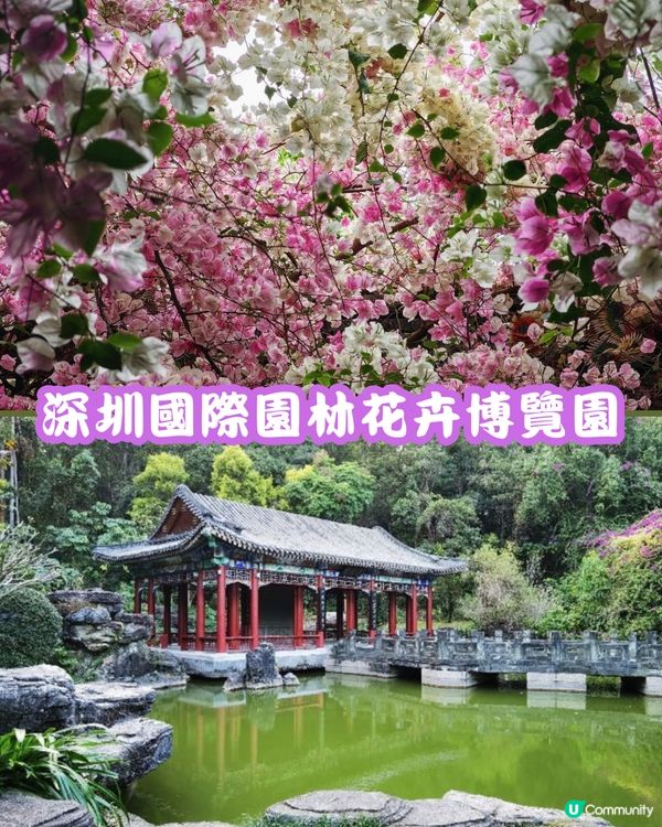 深圳福田10個必去公園-上集💐