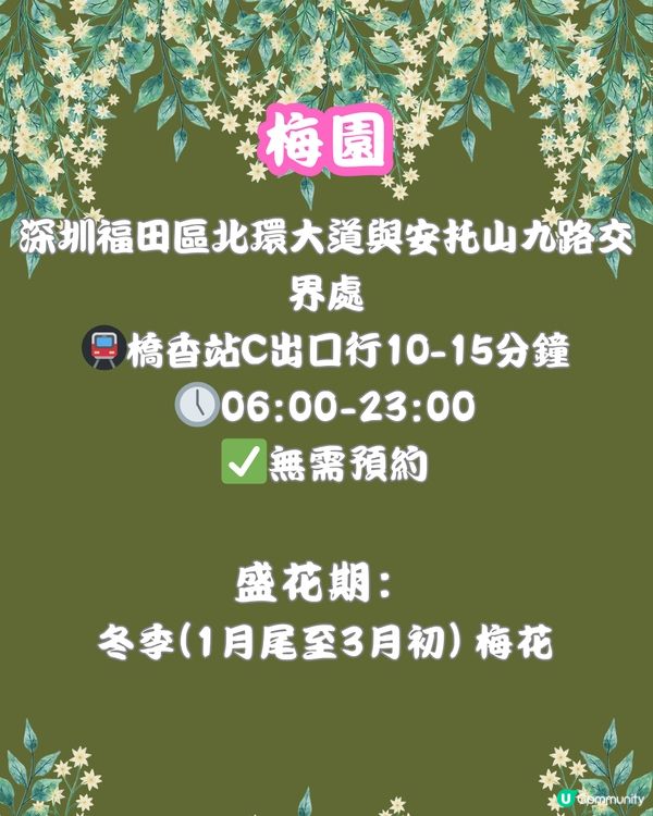 深圳福田10個必去公園-上集💐