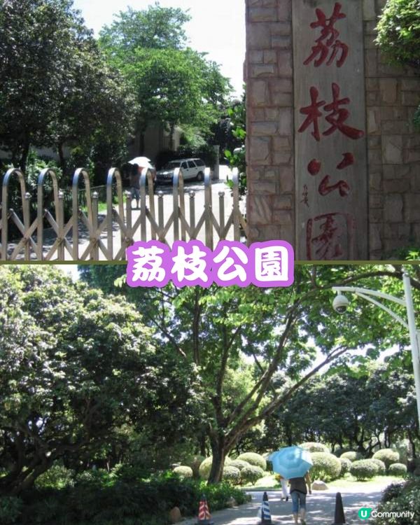 深圳福田10個必去公園-上集💐