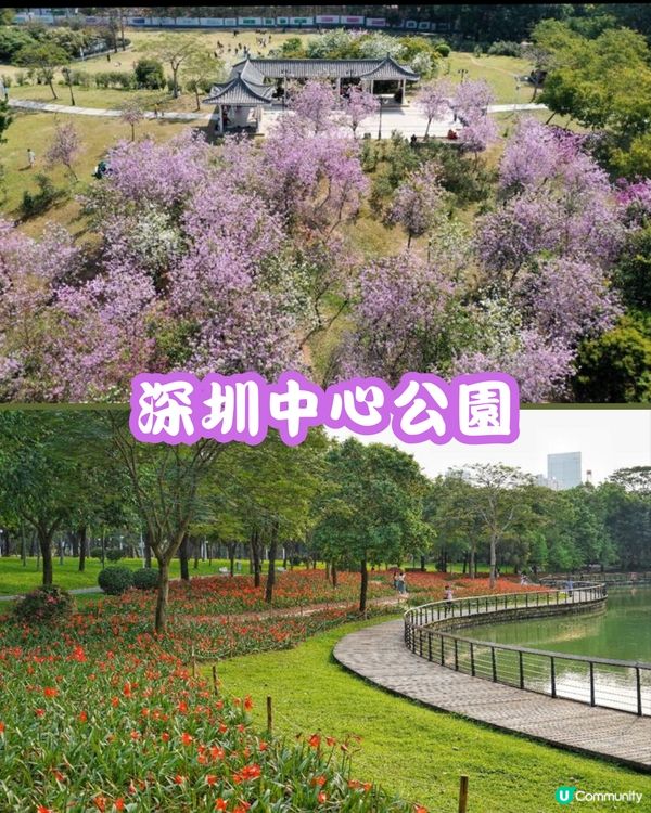 深圳福田10個必去公園-上集💐