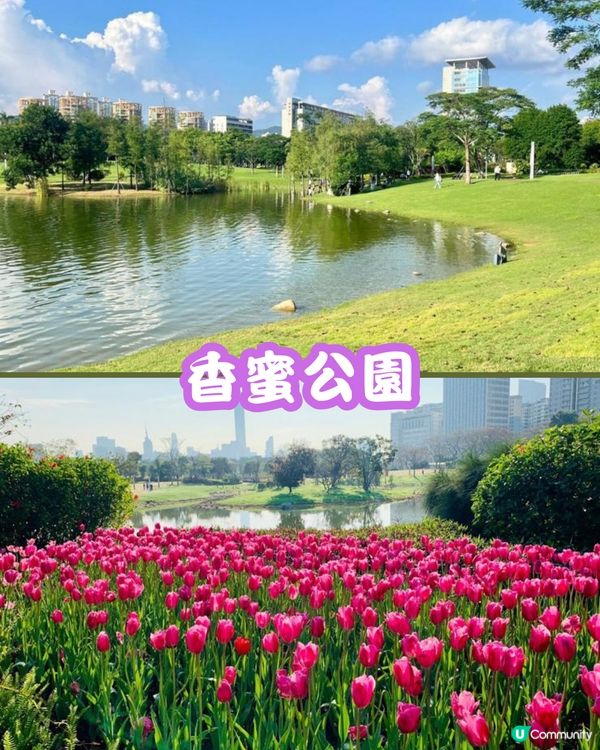 深圳福田10個必去公園-上集💐