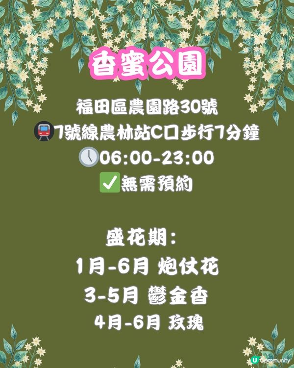 深圳福田10個必去公園-上集💐