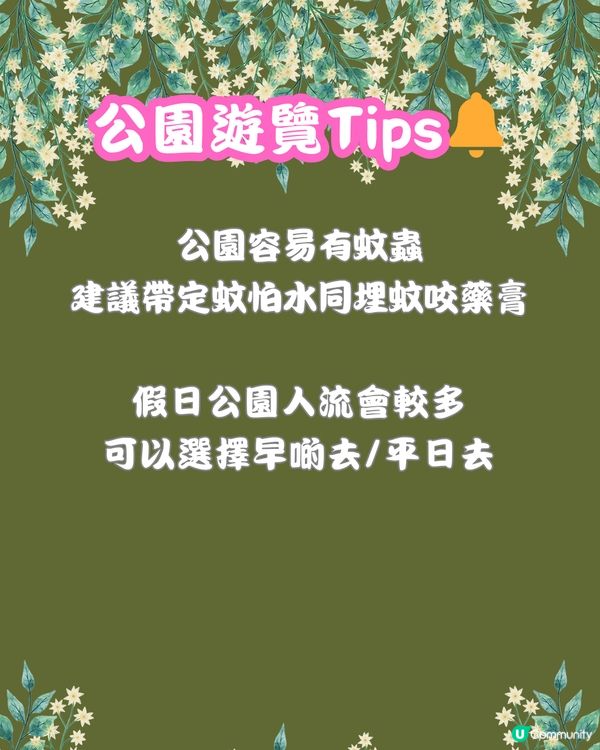 深圳福田10個必去公園-上集💐