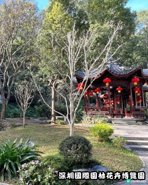 深圳福田10個必去公園-上集💐