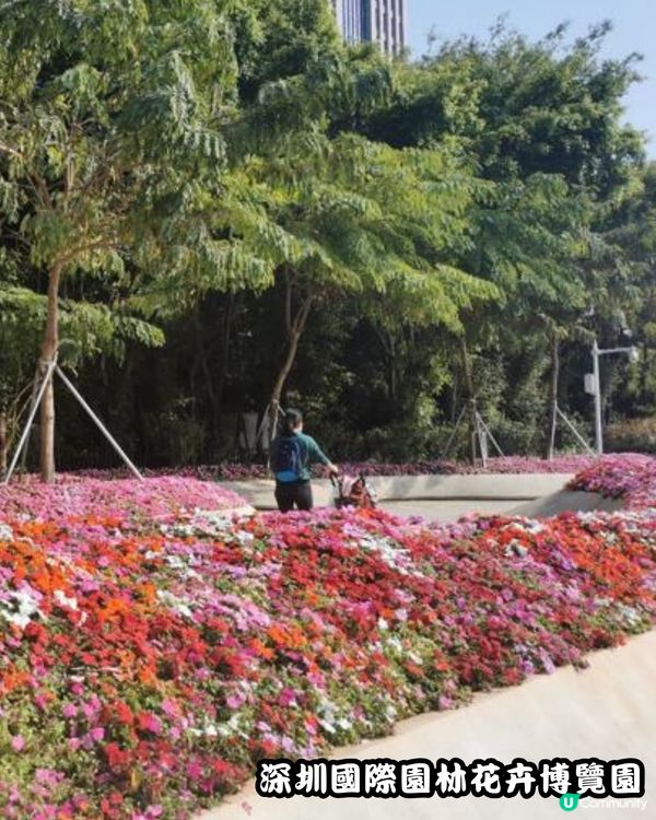 深圳福田10個必去公園-上集💐