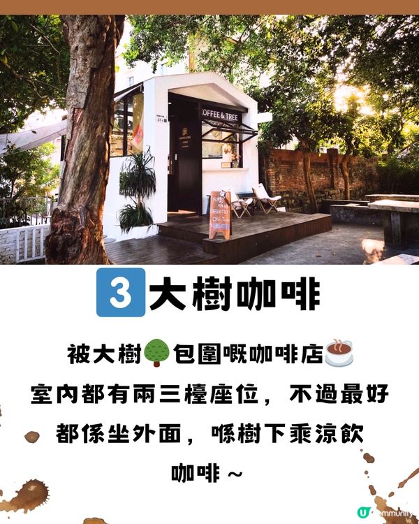 深圳寶安區8大特色咖啡店☕️附交通教學🚗