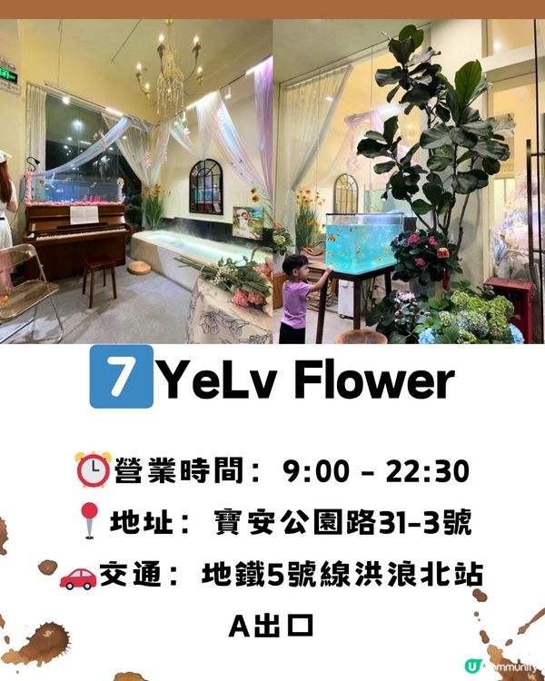 深圳寶安區8大特色咖啡店☕️附交通教學🚗