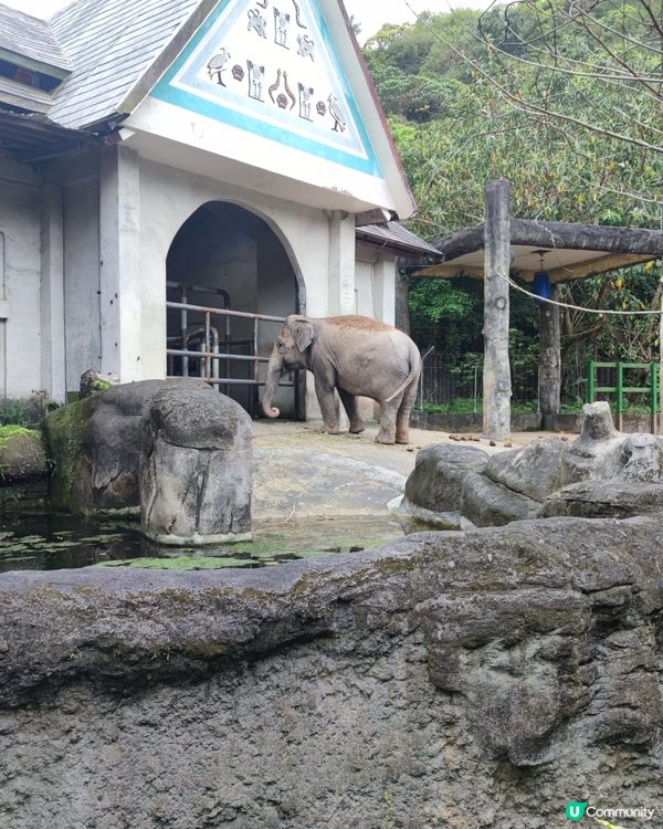 台北動物園