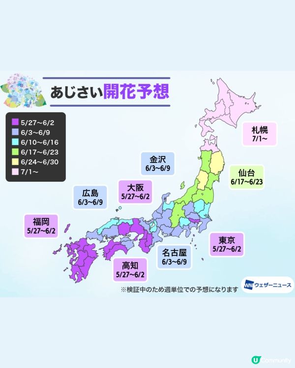 日本全國繡球花開花時間表🇯🇵💙超詳細版😍附3個冷知識🙌🏼