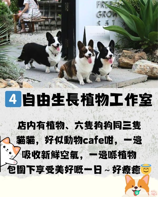 深圳避世咖啡店☕️8大打卡清單🧾附交通教學🚗