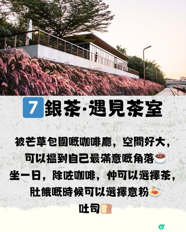 深圳避世咖啡店☕️8大打卡清單🧾附交通教學🚗